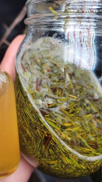 Image 1 of Pine Vinegar 