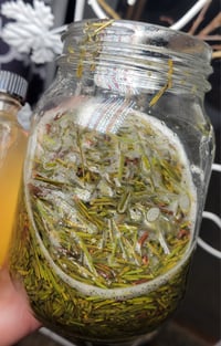 Image 2 of Pine Vinegar 