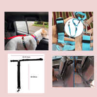 Back Seat Safety Belt And Leash Combo (Pre Order)