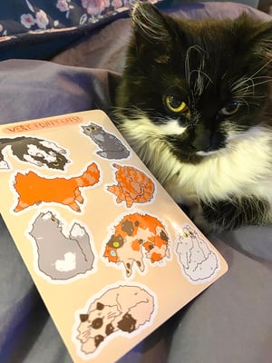 Fluffy Cats Sticker Sheet
