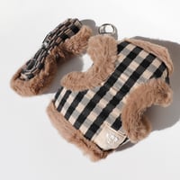 Image 1 of The Harness Set