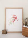 'Samford' Gum Blossom Fine Art print