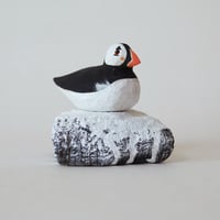 Image 1 of Guano Puffin