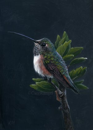 Image of Hummingbird on Hibiscus Branch - Framed Original Painting
