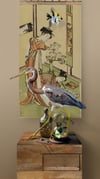 Painted Heron