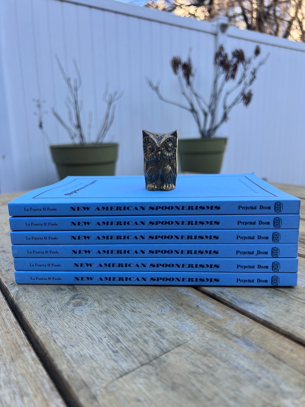 "New American Spoonerisms" Softcover Book by Sarah La Puerta and Clemens Poole