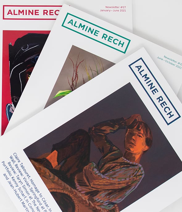 Newsletters Package 27 28 And 29 Almine Rech Editions