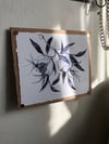 'POMs' print