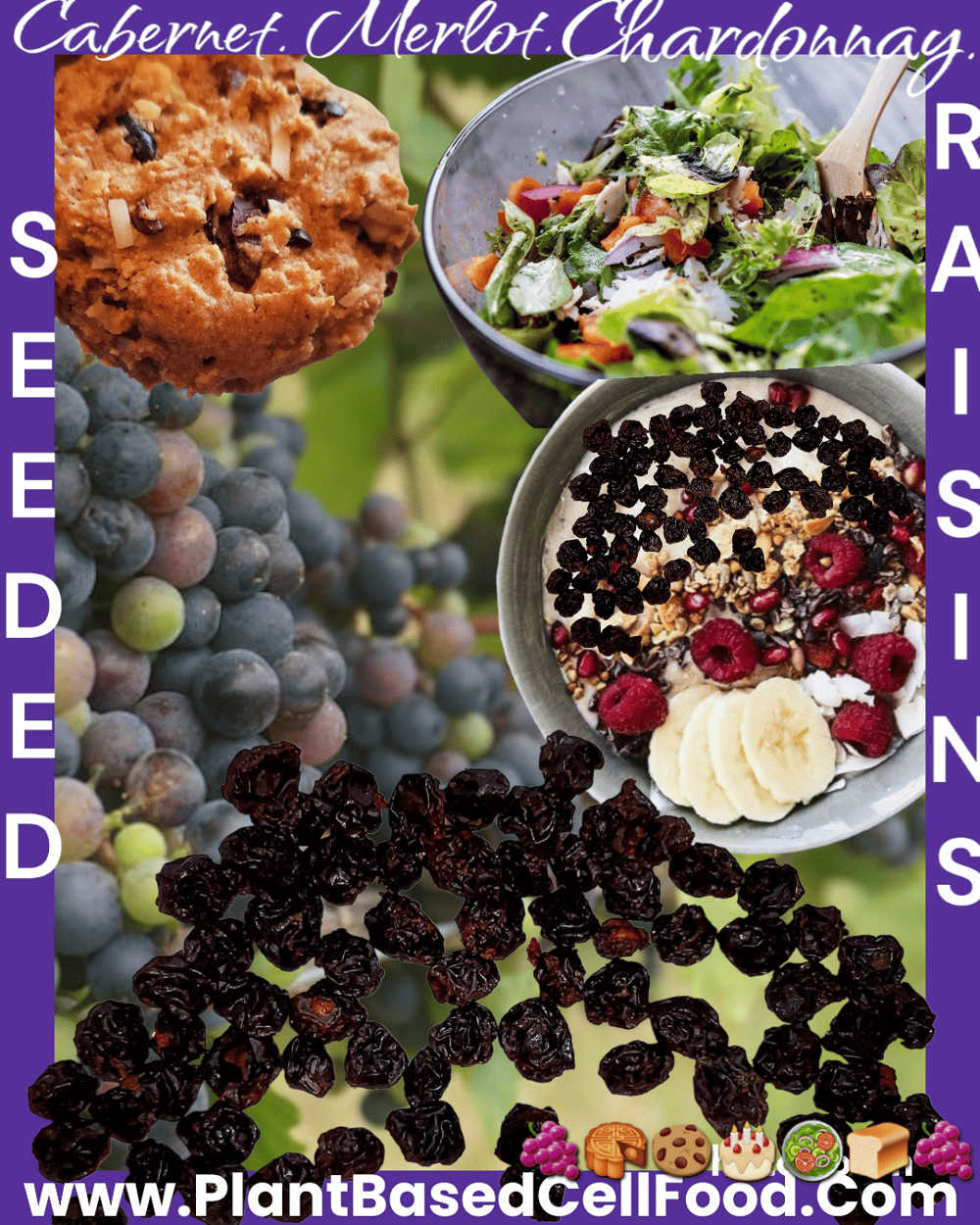 SEEDED Raisins & Grapeseed Powders. Pathogen Protection-Nerves-Cardiovascular-Veins-Circulation