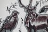 saskatchewan threatened species print 