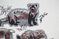 Image 4 of saskatchewan threatened species print 