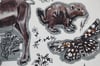 saskatchewan threatened species print 