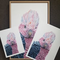 Image 2 of "Gracie" Art Print