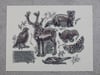saskatchewan threatened species print 