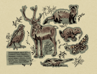 Image 1 of saskatchewan threatened species print 