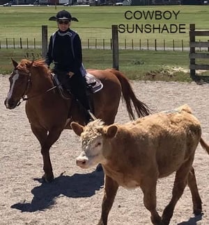 Image of Cowboy SunShade 
