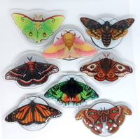 Moth and Butterfly Phone grips