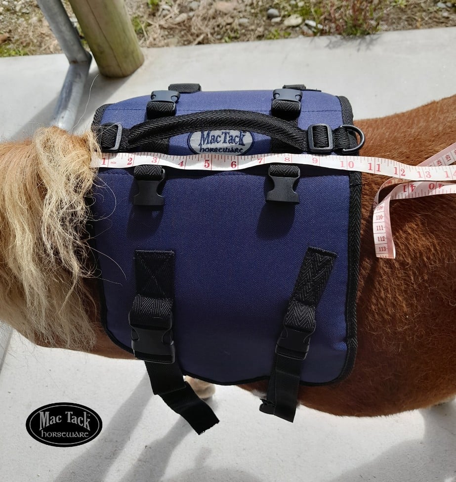 Image of Miniature Horse Pack Saddle