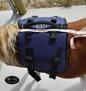 Image of Miniature Horse Pack Saddle