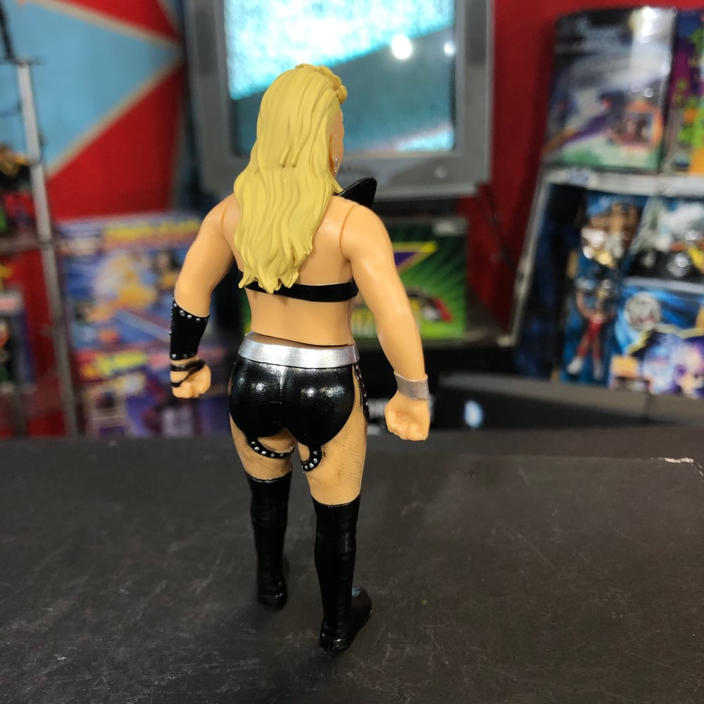 **NO PACKAGING** LUNA VACHON wrestling megatstars series 2 figure