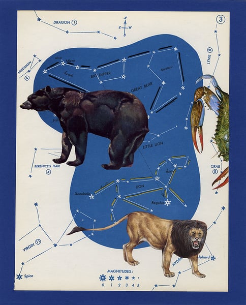 Image of Ursa Major - original one of a kind collage.