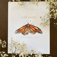 monarch print