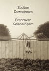 Sodden Downstream, by Brannavan Gnanalingam