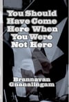 You Should Have Come Here When You Were Not Here, by Brannavan Gnanalingam