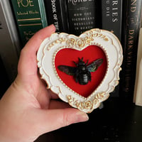 Image 2 of Xylocopa latipes Carpenter Bee - Heart Shaped Frame - Red