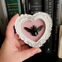 Image 2 of Xylocopa latipes Carpenter Bee - Heart Frame - Pink