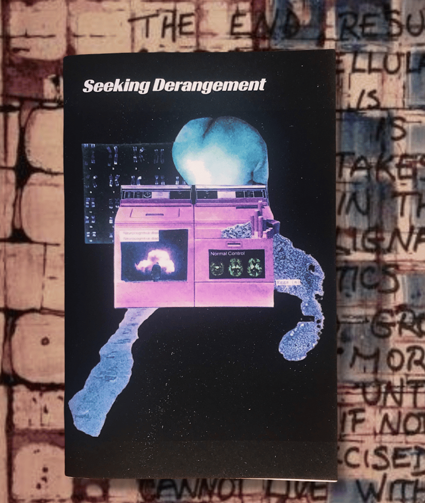 Image of SEEKING DERANGEMENT