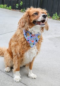 Image 2 of Dog Bandana - Wildflowers