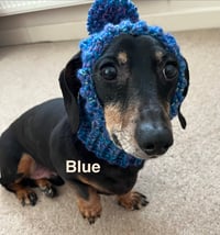 Image 5 of Chunky Dachshund Snood Ears Out