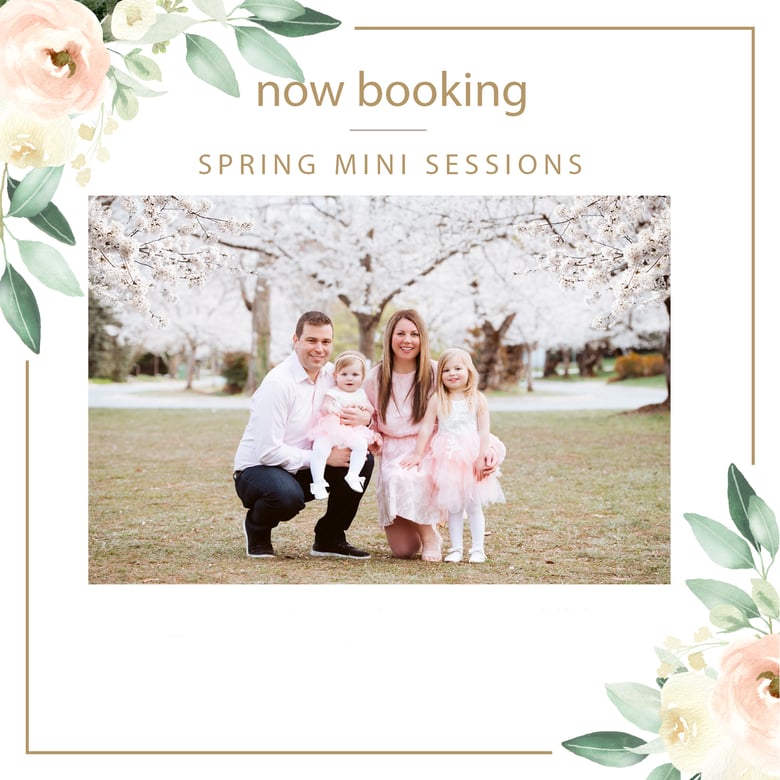 Image of Cherry Blossom Mini Sessions 2025 - Chevy Chase, MD