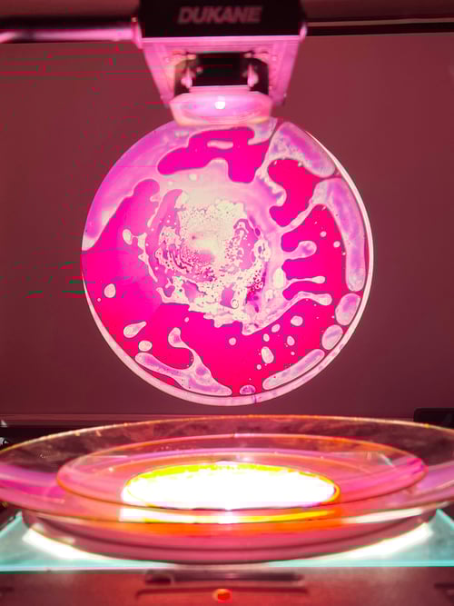 Image of Vibrant Hot Pink - Concentrated Oil Dye for Liquid Light Shows - 1 oz.