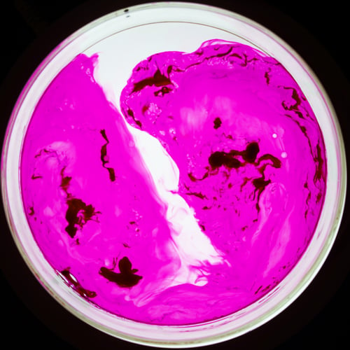 Image of Vibrant Hot Pink - Limited Edition Dye