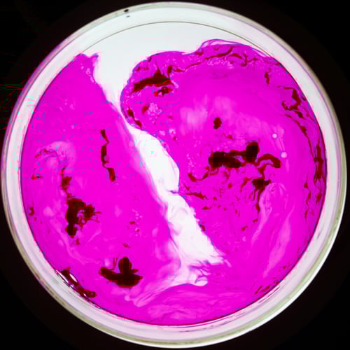 Image of Vibrant Hot Pink - Concentrated Oil Dye for Liquid Light Shows - 1 oz.