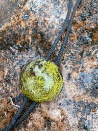 Image 3 of Lichen pendant bolo