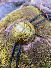 Image 1 of Lichen pendant bolo