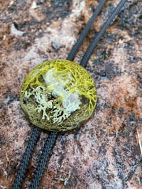 Image 4 of Lichen pendant bolo