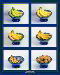 "Evolution" 16"x20" Bananas Poster