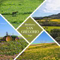 Image 2 of San Gregorio Bar - Blackberry & Sage Soap