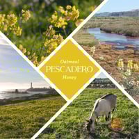 Image 2 of Pescadero Bar - All Natural Honey & Oatmeal Unscented Soap 