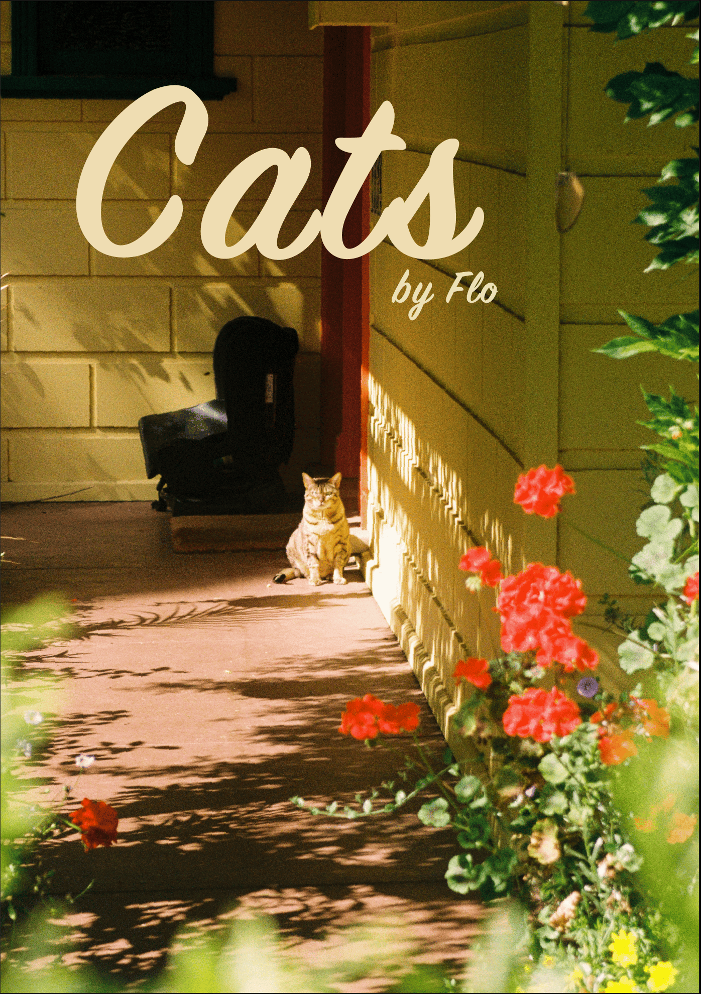 Cat Zine