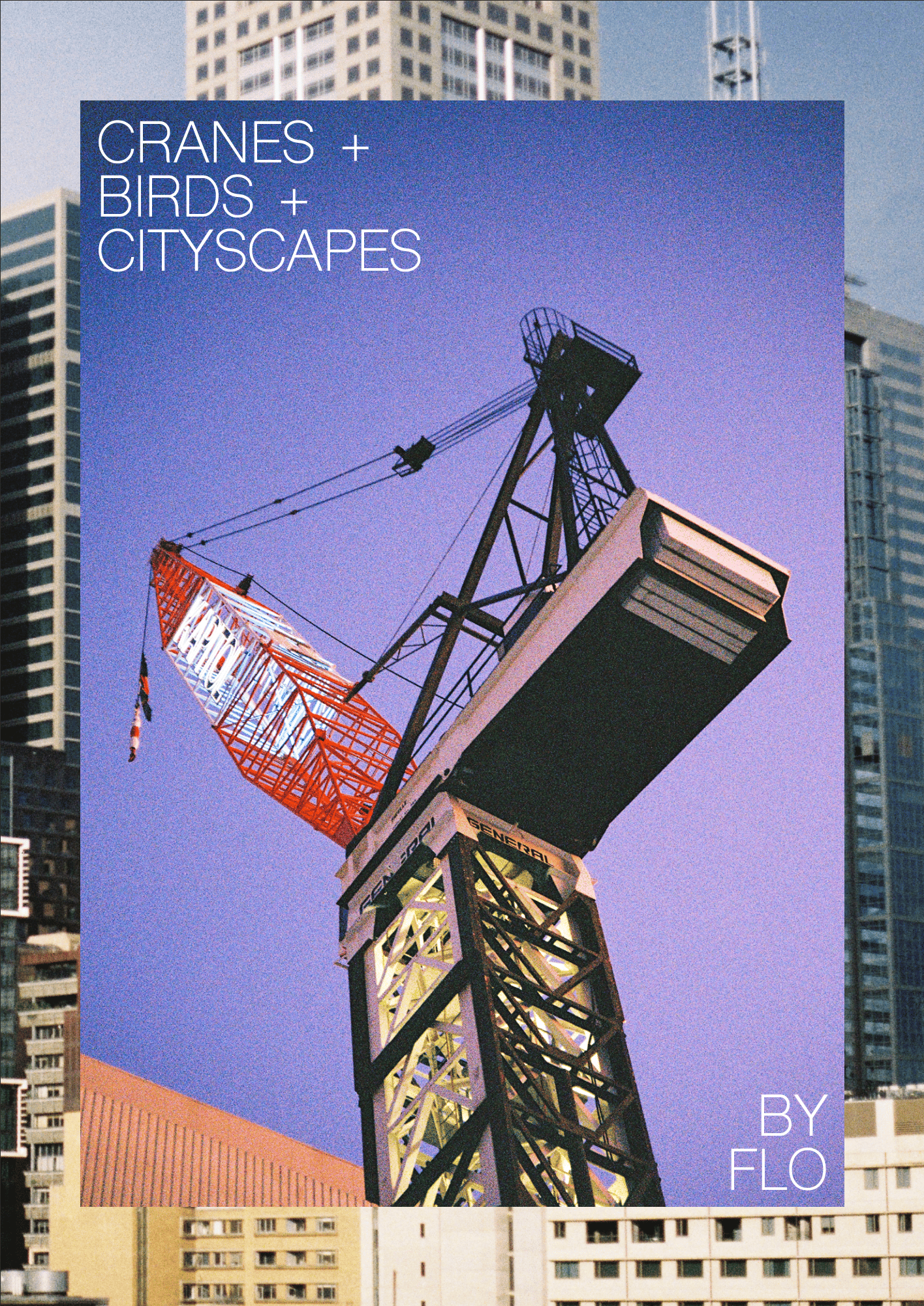 Cranes + Birds + Cityscapes Zine
