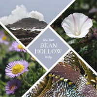 Image 2 of Bean Hollow Bar - All Natural Sea Salt & Kelp Soap