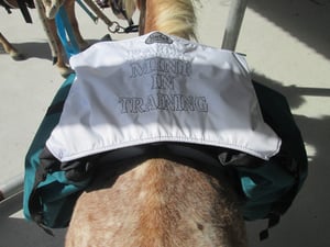 Image of Adventure Pack top cover