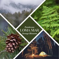 Image 2 of Loma Mar Bar - Extra Sudsy Ponderosa & Orange Blossom Soap