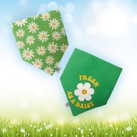 Image 1 of Daisies - Reversible bandana 