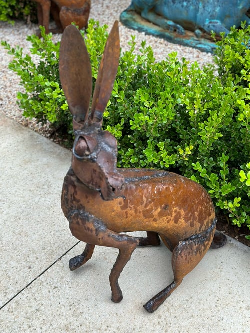 Image of Garden Hare I